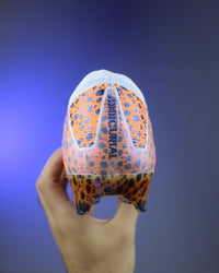 Mercurial Vapor 16 Elite FG 'Electric Pack' (Olympic Safari) football boots